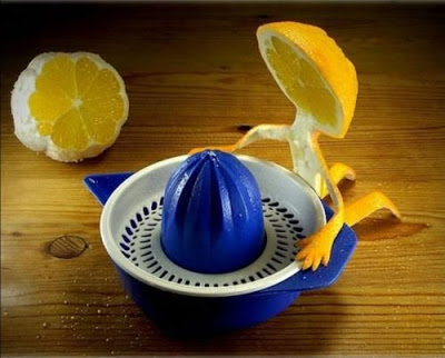 Orange Begging 19 Artistic Food Carvings