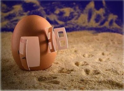 Egg House 19 Artistic Food Carvings
