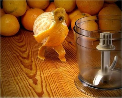 Orange Holfer 19 Artistic Food Carvings