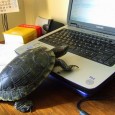 Computers are delicate tools that work in precise and complicated ways to allows us to do all kinds of everyday tasks. They are so complicated, in fact, that the vast […]