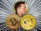 dogecoin